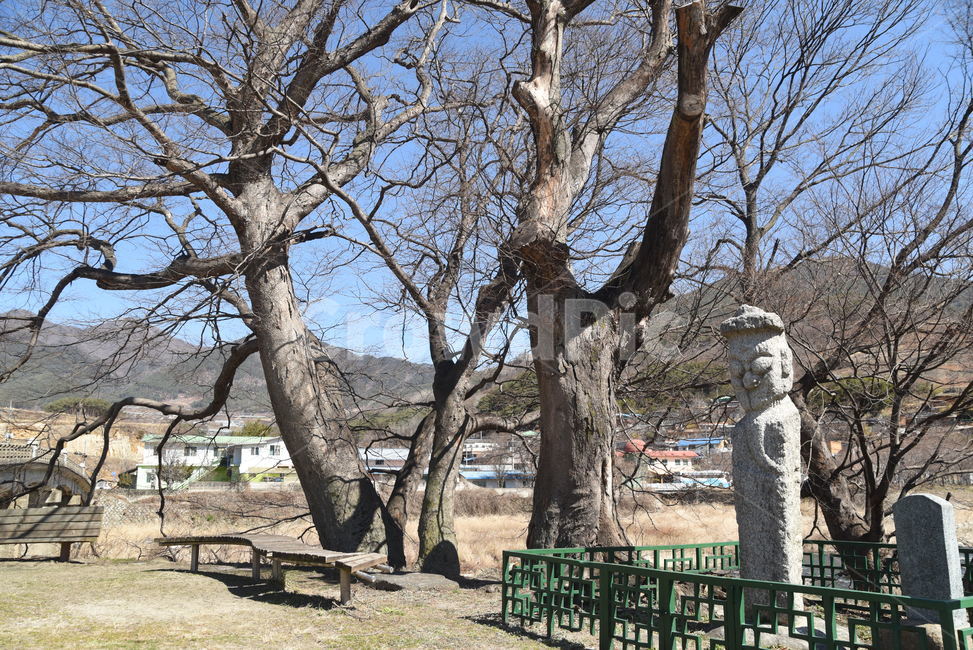 장승,석장승,문화재,기념물,돌,지킴이,수호신,문화,outdoors,옥외