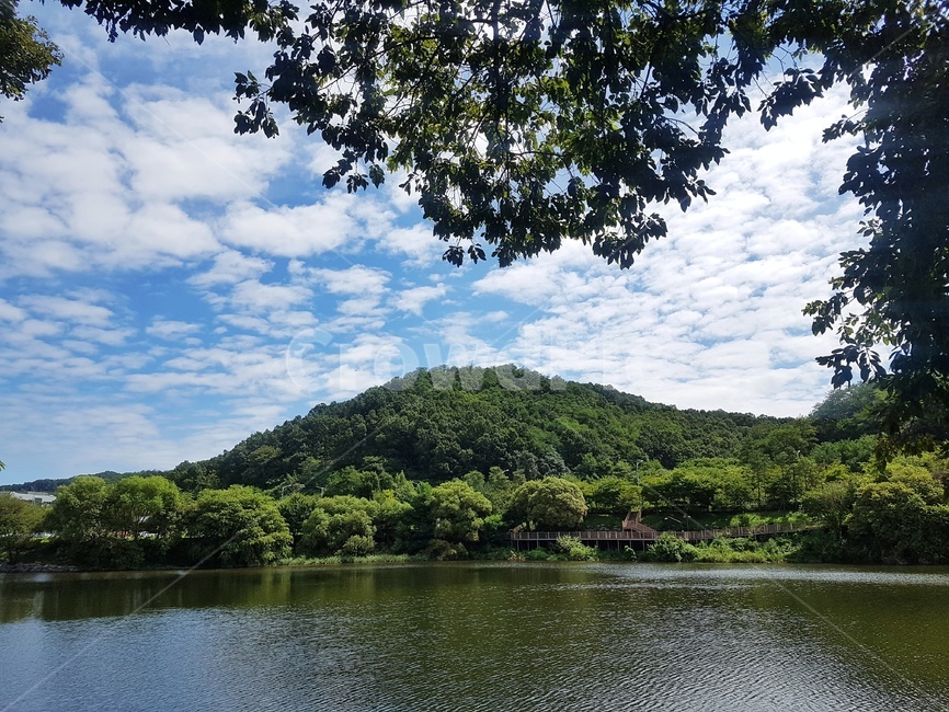 풍경,산,하늘,호수,나무,숲,구름,자연