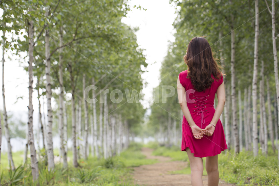 자작나무,자작나무숲,숲,숲길,나무,여자,여성,뒷모습,원피스,자연,풍경,nature,landscape,사람,인물,인간,human,person,여성,여자,woman,female,lady