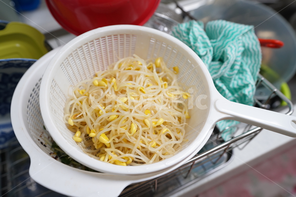 콩나물,반찬,먹거리,바구니,식재료,food,음식,식물,plant,음식,식재료,요리,food,cook,meal,dishes,food reserves