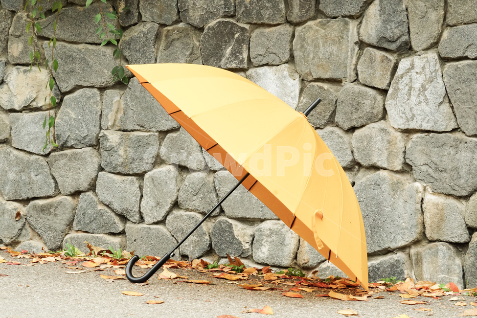 우산,노란우산,낙엽,따뜻함,umbrella,warm,감성,감성적인,포근함