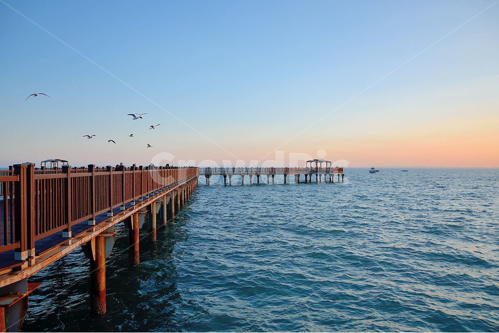 궁평항,일몰,바닷가,바다,풍경,자연,풍경,nature,landscape,water,물,waterfront,워터 프론트,pier,교각,port,포트