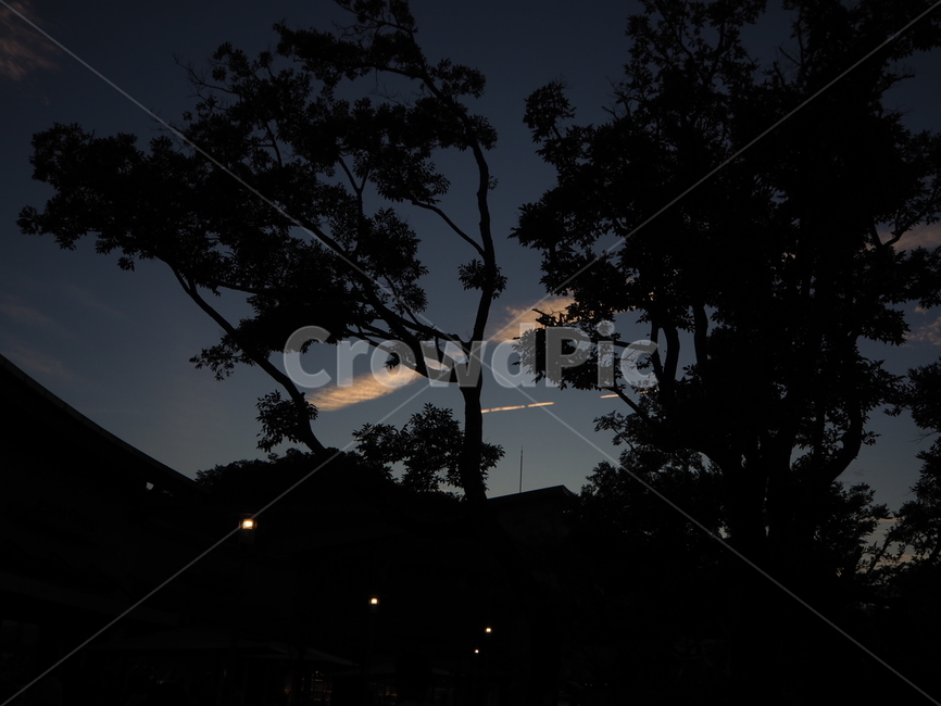 silhouette,실루엣,nature,자연,outdoors,옥외,하늘
