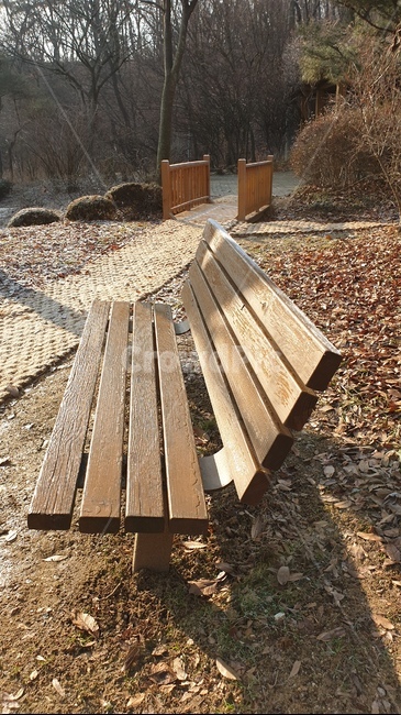 wood,나무,공원,벤치,park