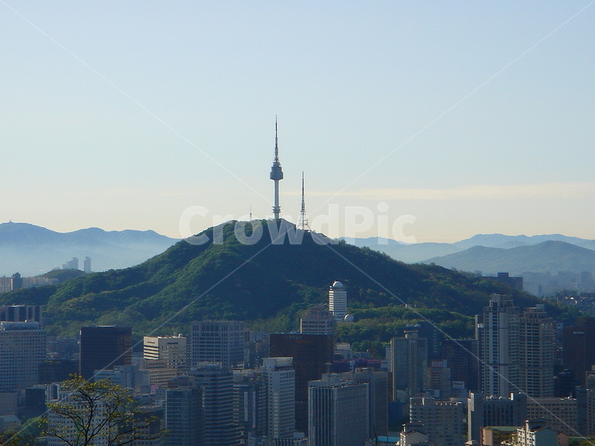 도시,전경,남산,도심,하늘