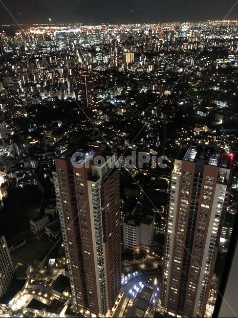 일몰,풍경,하늘,자연,색,도시,city,감성,도쿄,야경,밤,풍경,nightscape,night,landscape,도시,city,해외,외국,세계,foreign,oversea,world,세계도시풍경,해외도시풍경,외국도시풍경,world cityscape,nature,outdoors,옥외,경치,scenery,aerial view,조감도