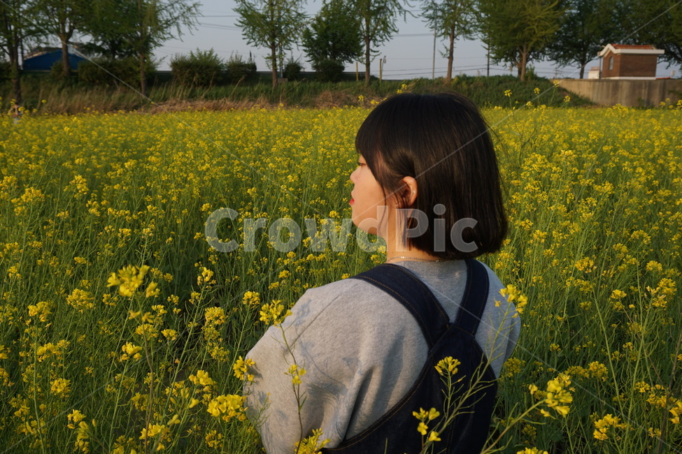 자연,human,인간,person,사람,유채꽃,사람,인물,인간,human,person,여성,여자,woman,female,lady