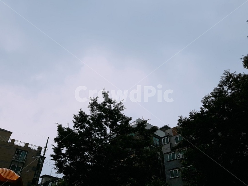 하늘,나무,tree,낮,풍경,날씨,sky,weather