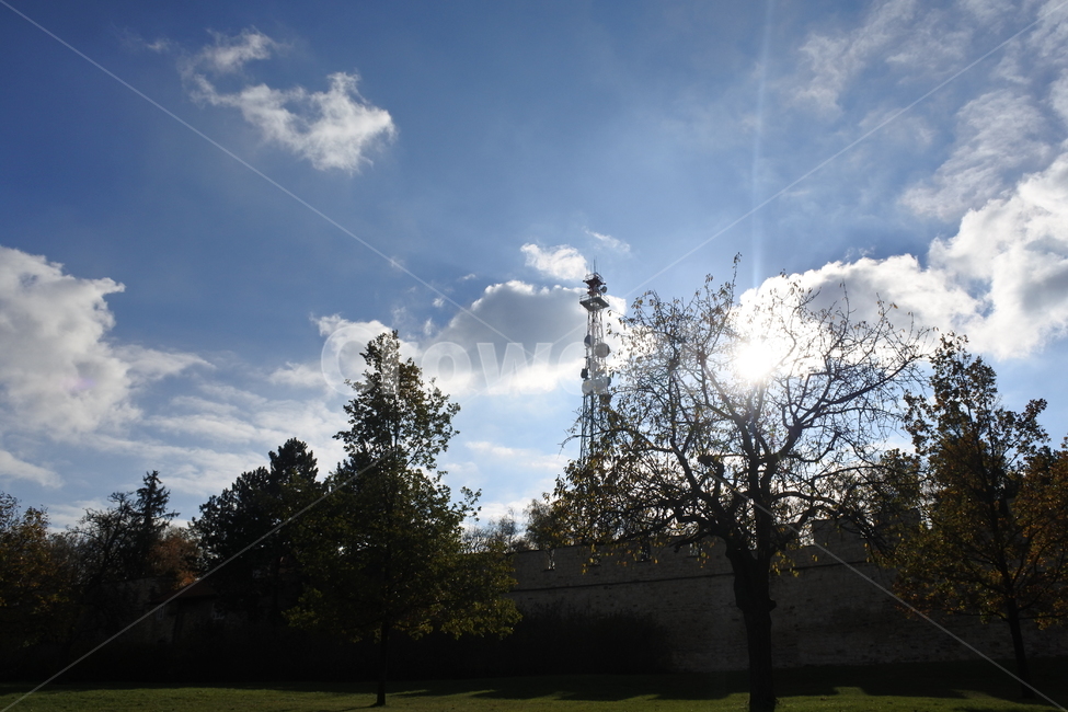 자연풍경,하늘,나무,공원,구름,자연,여름,봄,landscape,풍경,sky,tree,cloud,park,green