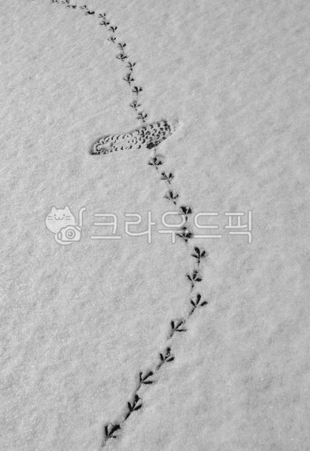 Snow,footprints,bird's footsteps,shoe prints,winter,traces,encounter,coexistence,contrast,minimalism,background,margin,nature,black and white photography,abstract