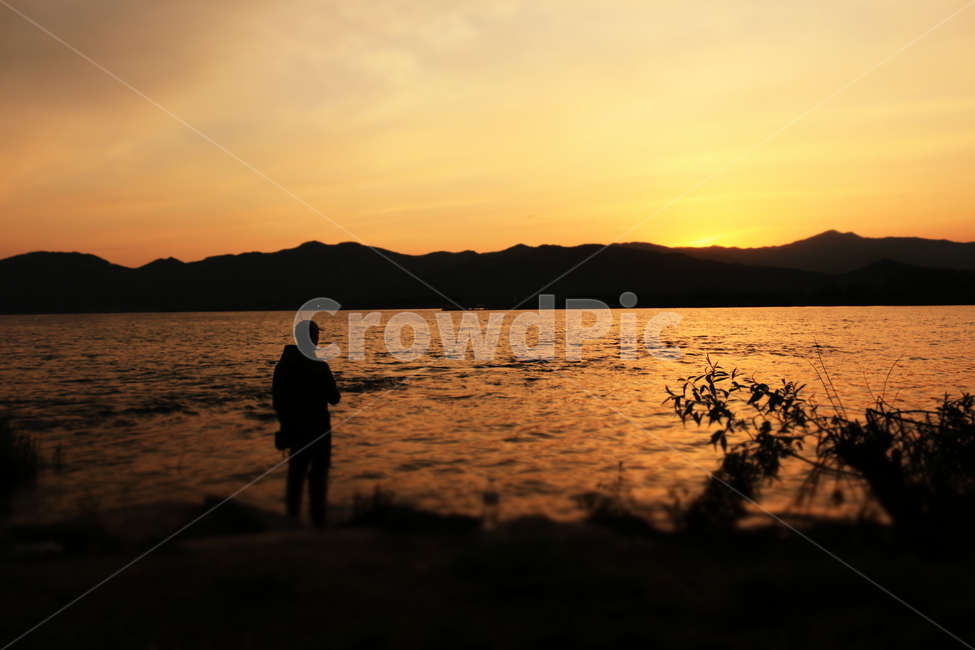 낚시,석양,노을,저녁,갈대,강,물,햇빛,그림자,투영,사람,낚시꾼,하늘,fishing,fishingman,shadow,sunset,sunshine,people,water,river