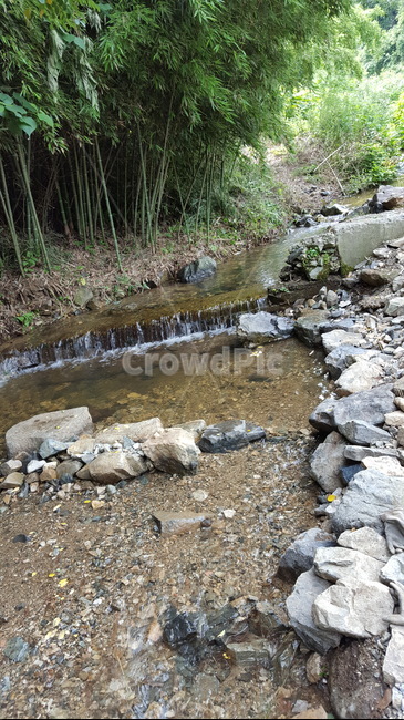 자연,개울,나무,풍경,바위,자연,풍경,nature,landscape,rubble,파편,water,물,outdoors,옥외
