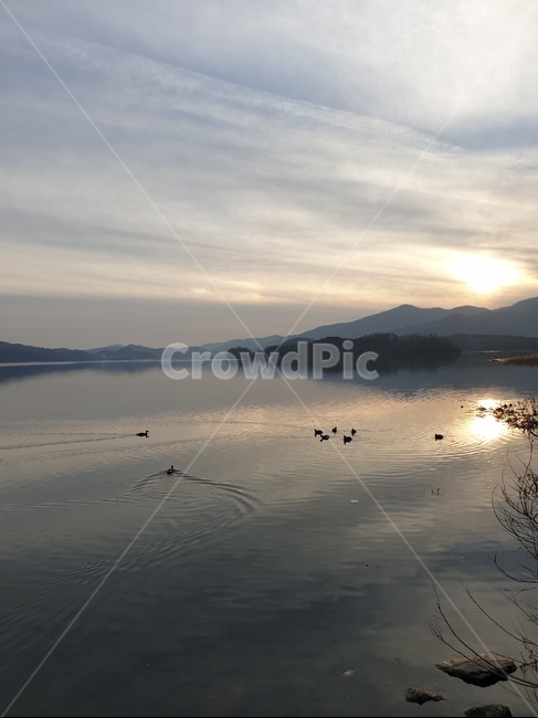 water,물,outdoors,옥외,nature,자연,land,석양,강,river,오리,duck,하늘,sky