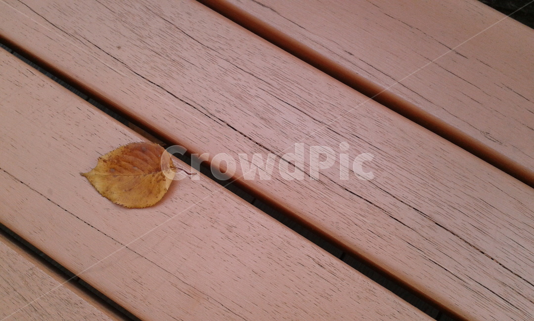 wood,나무,hardwood,leaf,잎,낙엽,가을,계절,fall,autumn,season,견목,plywood,합판
