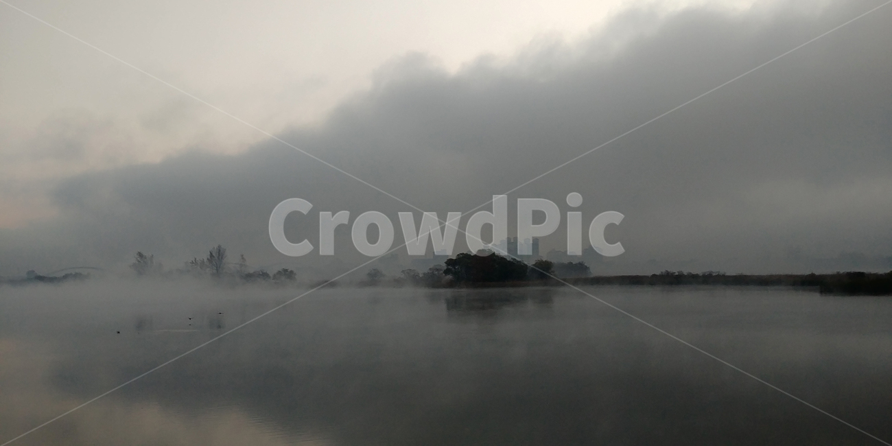 물안개,안개,물의정원,남양주,일출,아침,자연,풍경,nature,landscape,weather,날씨,outdoors,옥외,fog