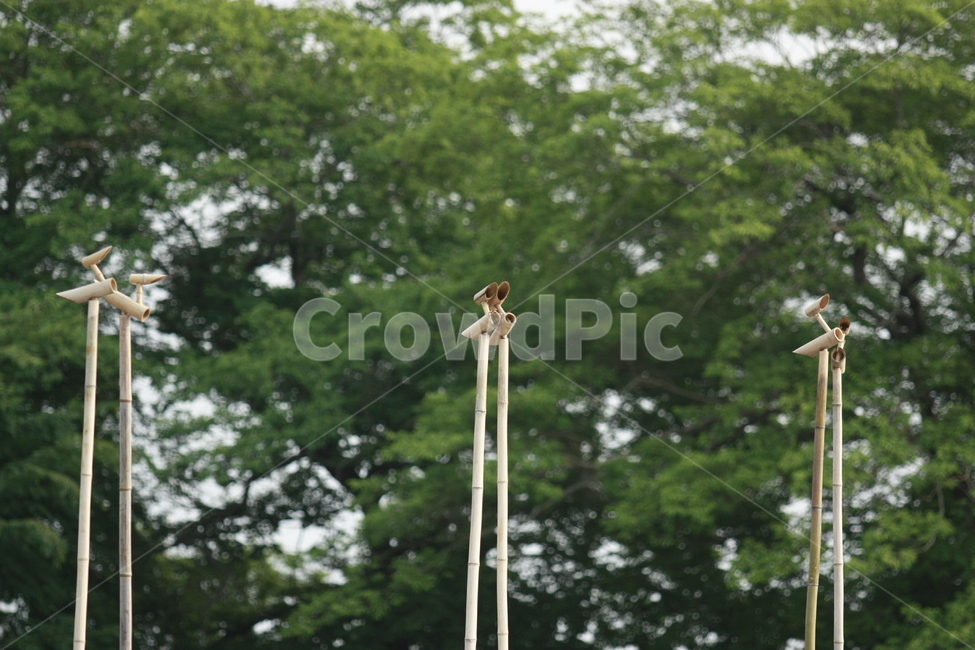 솟대,대나무솟대,대나무,조형물,새솟대,한국전통,한국문화,korean traditional,korean culture