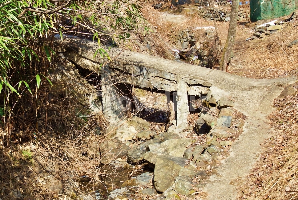 동네뒷산,뒷산,나무,산,산행,산길,돌다리