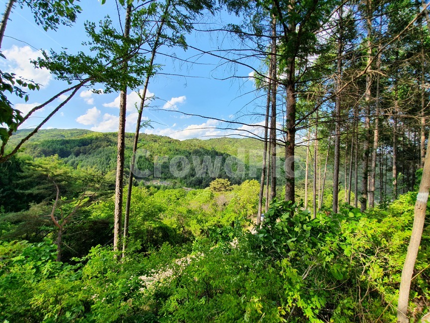산,하늘,나무,풍경,자연,sky,mountain,landscape,scenery,scene,view
