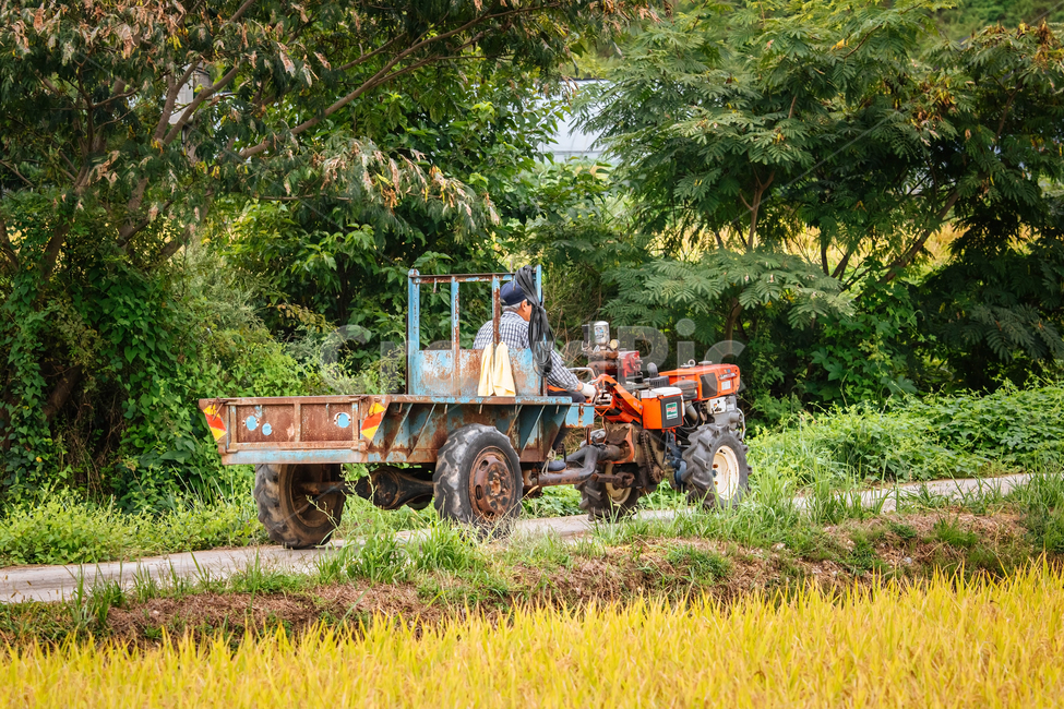 경운기,농부,농촌,논,시골,cultivator,tractor,country,farmer,농업,농사,agriculture,farming,farming industry