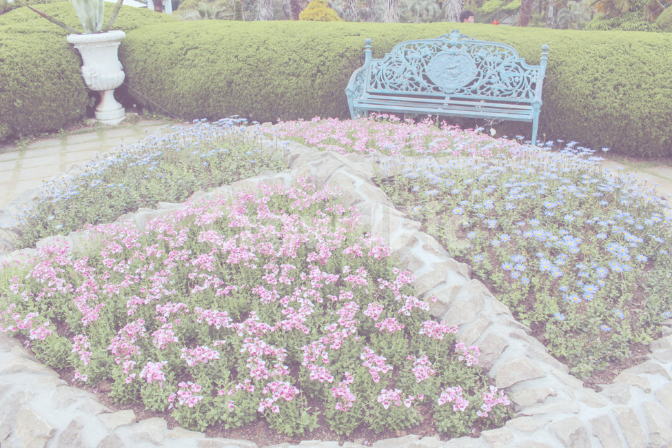 꽃,꽃밭,분홍꽃,파란꽃,벤치,봄,화려한,식물,식물,자연,plants,nature,꽃,flower