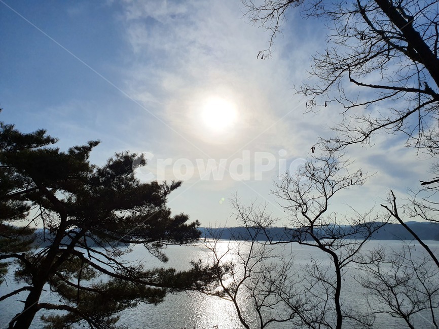 나무,식물,호수,태양,파란하늘,plant,tree,햇빛,자연,풍경,nature,landscape