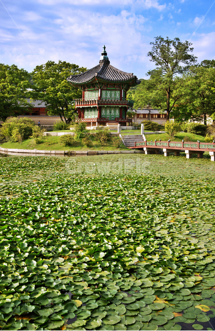 향원정,경복궁,향원지,보물제1761호,취향교,연못,고건축,고종,정자,나무다리,한국전통,한국문화,korean traditional,korean culture,랜드마크,landmark,tourist attraction,한국랜드마크,한국관광지,한국명소,korea landmark,korea tourist attraction,건축물,건물외관,exterior,building,structure,architecture,construction