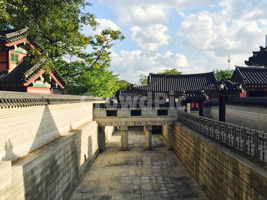 창경궁,궁,한국,korea,seoul,기와,전통