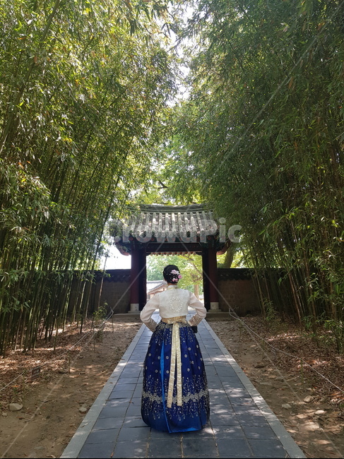 한복,뒷모습,풍경,대나무,전통,한복,한국전통의상,hanbok,korean traditional clothes,사람,인물,인간,human,person,여성,여자,woman,female,lady