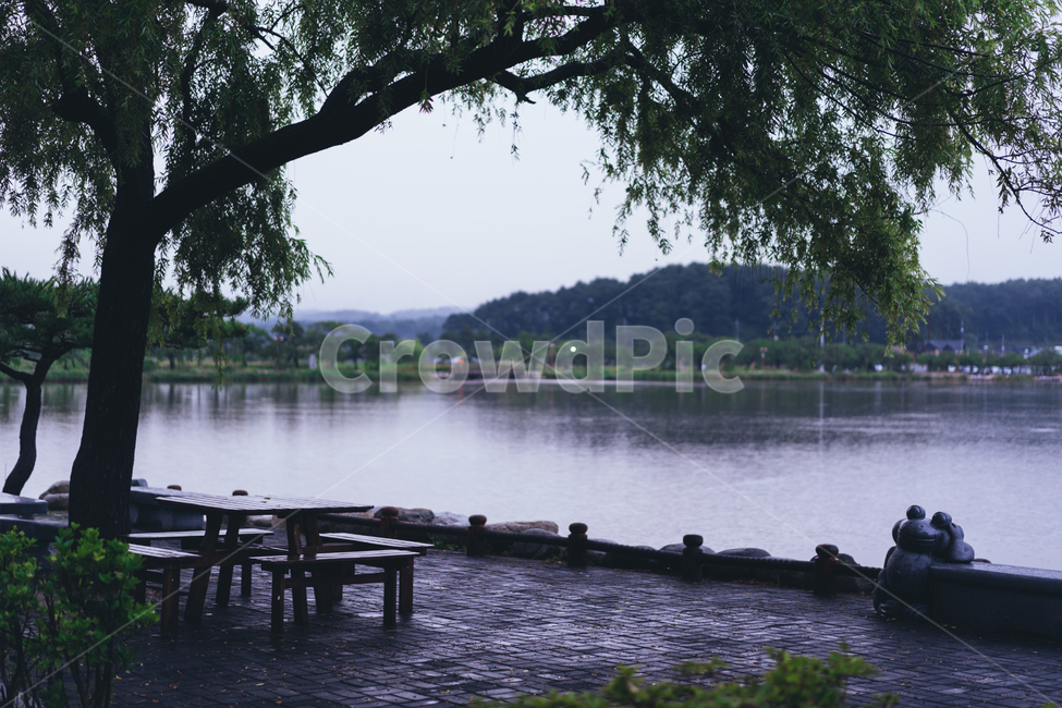 경포호,호수,자연,벤치,쉼터,자연,풍경,nature,landscape,water,물,waterfront,워터 프론트,pier,교각,port,포트