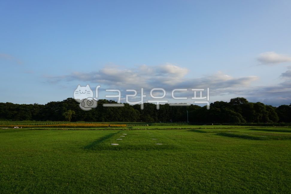 패디필드,목초지,field,들,nature,outdoors,자연,옥외,grassland