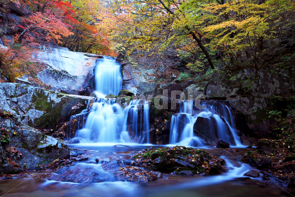 water,물,nature,outdoors,옥외,waterfall,폭포,tree,나무,plant,식물,leaf,잎,stream,흐름,물흐름,강원도,인제,방태산,방태산폭포,방태산가을,단풍,단풍잎,가을,추색,만추,낙엽,계곡,경치,경관,풍경,인제가을,한국자연풍경,한국자연경관,korea nature landscape