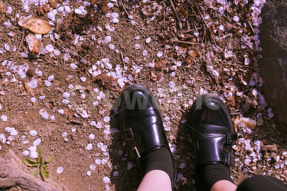 벚꽃,봄,감성,감성사진,신발,데일리,풍경,여행,사람,인물,인간,human,person,감성,sensible,feeling