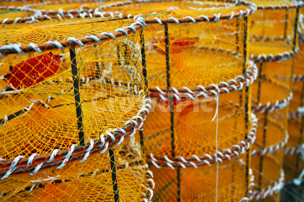 어망,어구,고기잡이,그물,어업,바다,어업,fishery,fishing industry