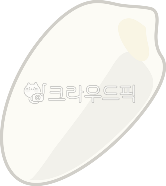 쌀,쌀알,쌀한톨,food,농부,농작물,밥,음식,쌀알일러스트