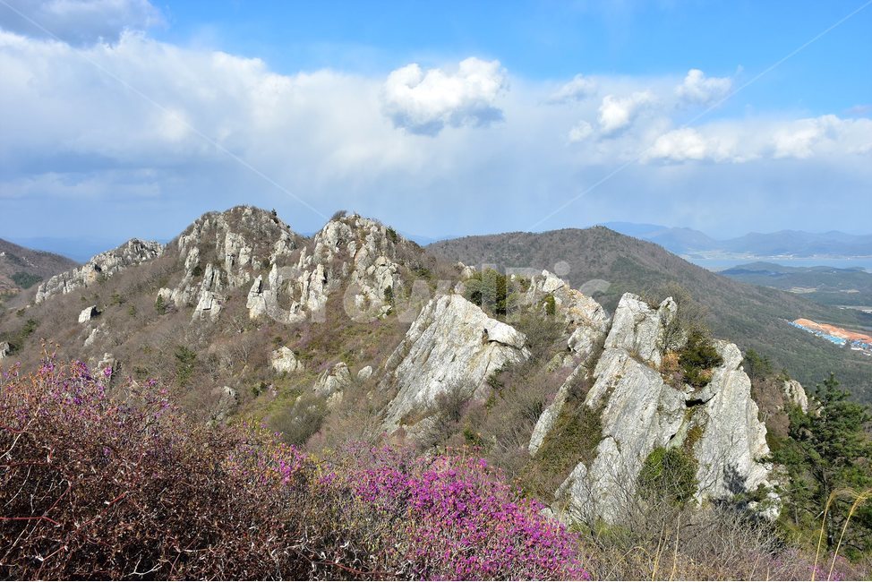 주작산,덕룡산,종주,진달래,풍경,기암,바위,비경,봄풍경,진달래꽃,강진,명산,산행,등산,마운틴,힐링,mountain,landscape,자연,natural,자연,풍경,nature,landscape,한국자연풍경,한국자연경관,korea nature landscape,outdoors,옥외,plant,식물