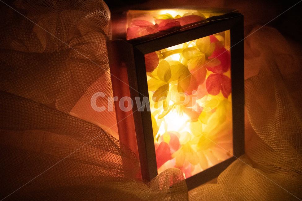 인테리어소품,꽃,조명,lighting,flowers,인테리어,밝은,소품,diy,예쁜,멋진,사물,물건,오브젝트,thing,object,matter