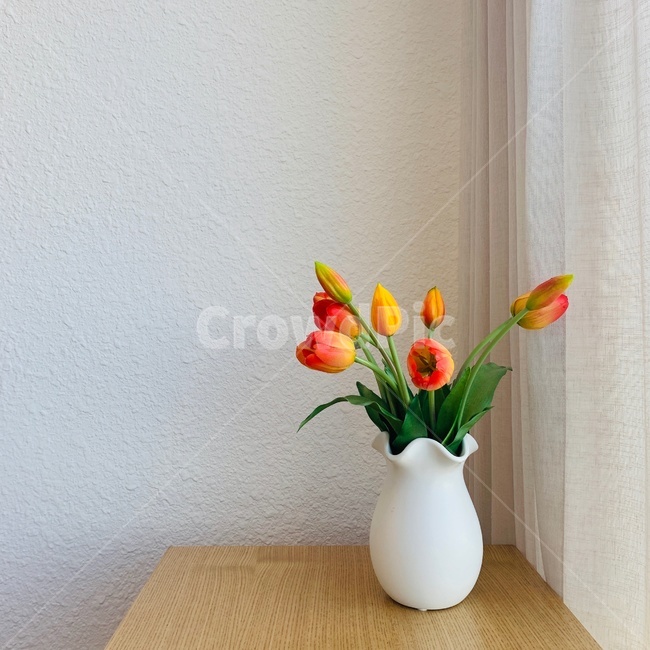 카페,cafe,감성사진,feeling,감성,sensible,힐링,plant,식물,flower,blossom,꽃,pottery,도기류,ornament,장식,jar,항아리,ikebana,이케바나,vase,병장식,튤립