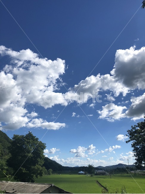 구름,나무,하늘,시골,연천군,자연,풍경,nature,landscape,outdoors,옥외,sky,weather,날씨,cloud,cumulus,적운,azure sky,푸른 하늘