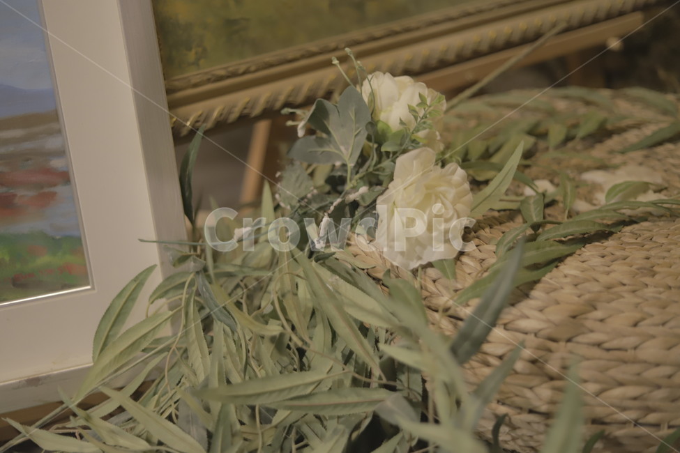 plant,식물,플랜테리어,식물인테리어,꽃,flower,dryflower,카페
