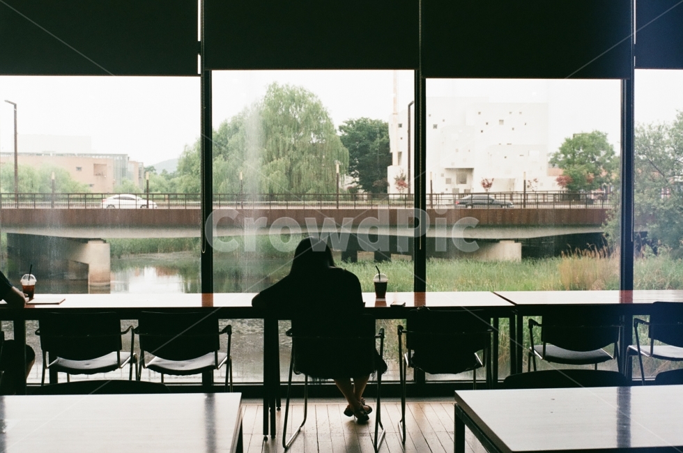 film photography,Character,silhouette,backlight,back,reading,film camera