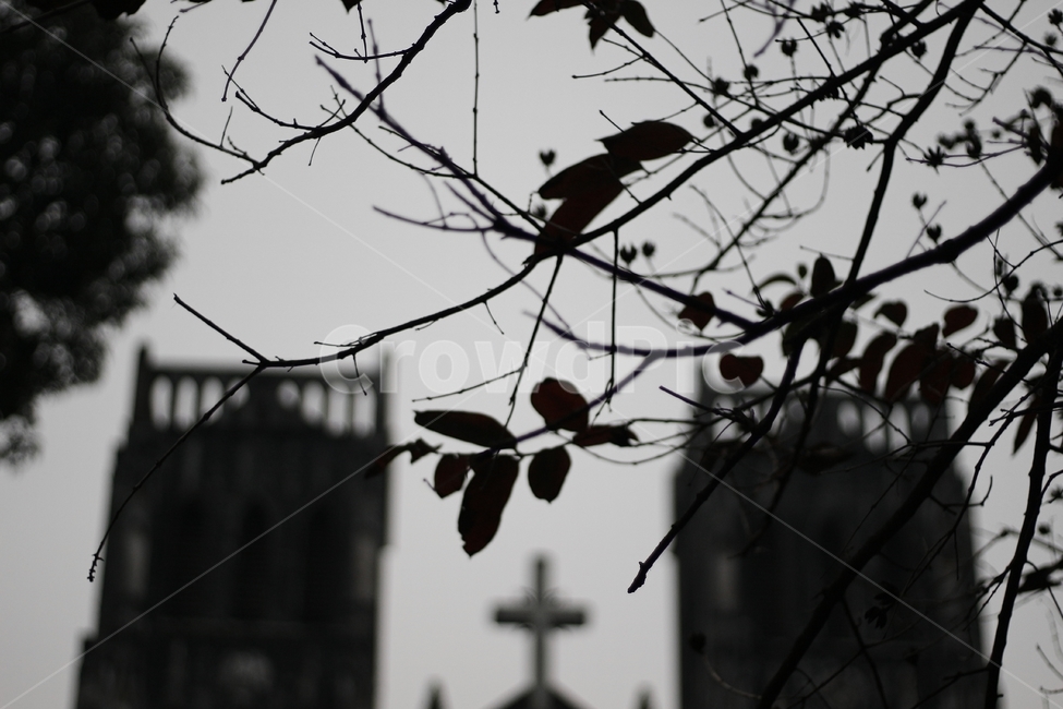 베트남,하노이,교회,풍경,landscape,church,outfocus