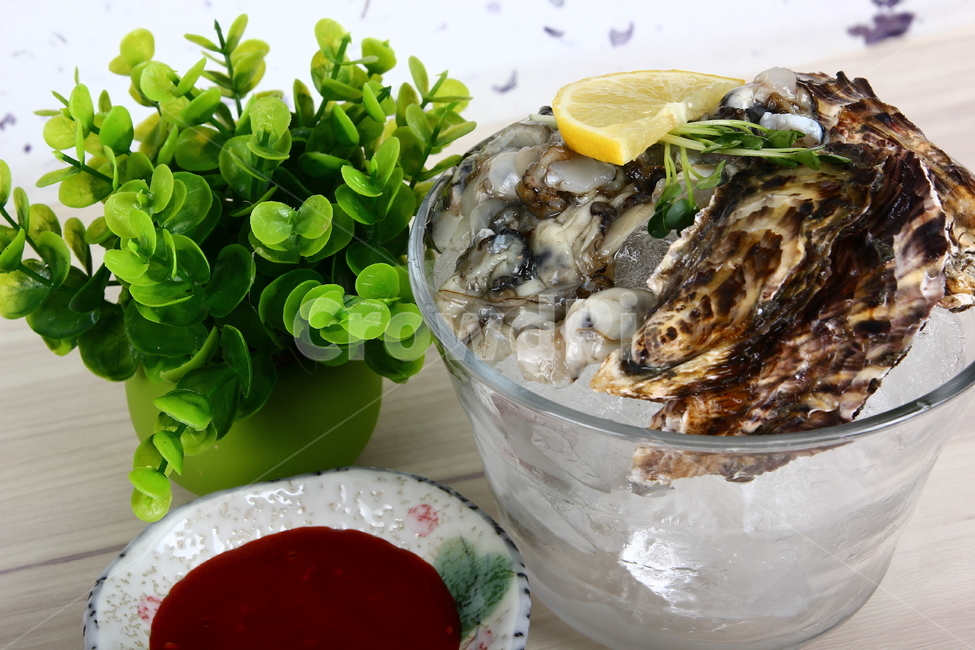 석화,굴,생굴,해산물,조개,신선,싱싱,음식,식품,dish,oysters,seafood,shellfish,fresh,crispy,food,음식,식재료,요리,food,cook,meal,dishes,food reserves,수산물,해산물,fishery products,seafood