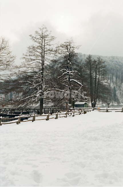 눈,자연,겨울,햇빛,구름,산,나무,겨울,계절,winter,season