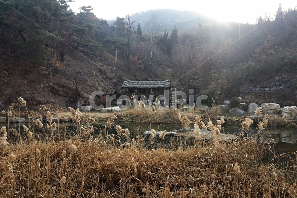 물레방아,지붕,겨울,억새,하천,홍제천,windmill,전통,시설,건축물,계절,watermill,FlameGrass,silvergrass,winter,자연,풍경,nature,landscape,outdoors,옥외,rural,농촌,building,건물