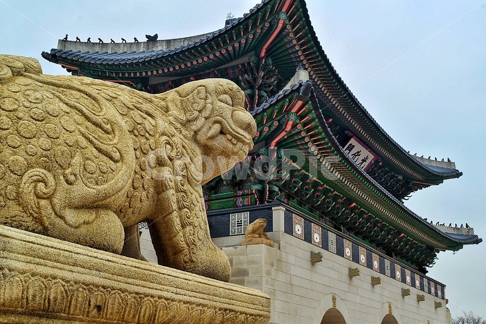 Gyeongbokgung,Cultural Heritage,Haitai,Gwanghwamun,Korean cultural property