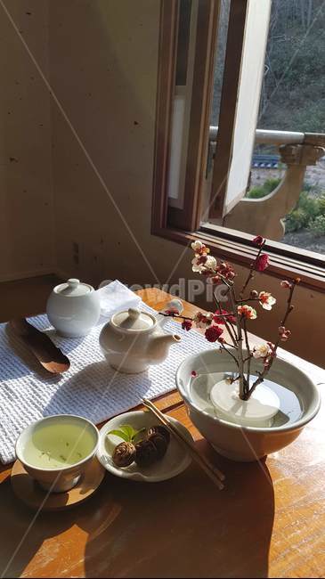 다기,봄,꽃,차,햇살,매화,생명력,도기류,saucer,받침접시,pottery,blossom,plant,식물