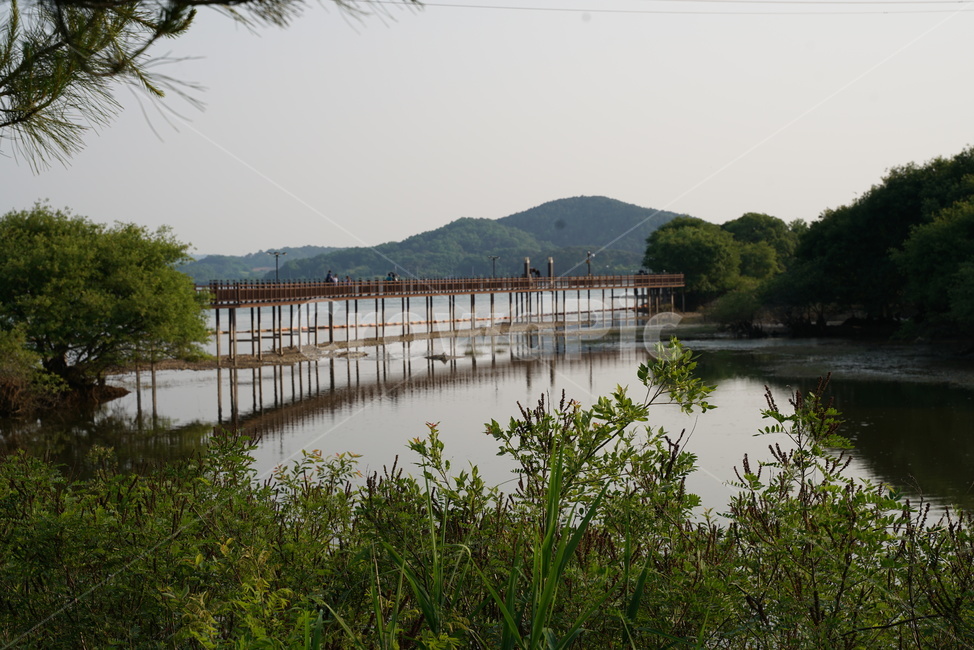 수변로,산책길,호수공원,호수길,호수로,탑정저수지,논산저수지