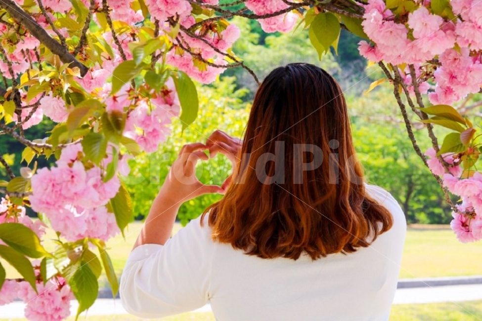 봄,봄나들이,사진,인생컷,버킷리스트,뒷모습,봄,계절,spring,season,사람,인물,인간,human,person,손,제스처,표시,손짓,표현,gesture,hand,sign,expression,여성,여자,woman,female,lady,감정표현,기분,feeling,emotion,plant,식물