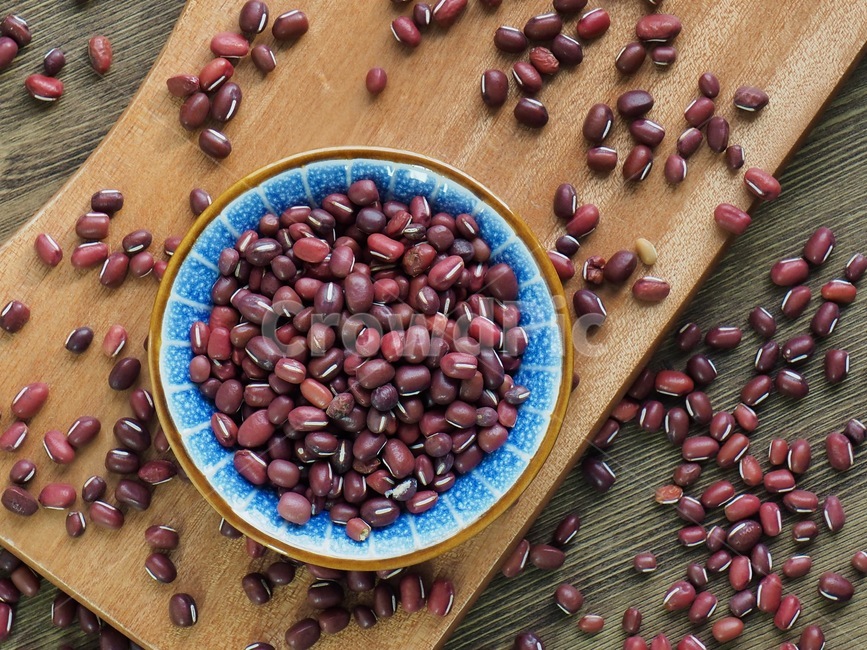 팥,유기농,콩,빨간색,작은,식품,음식,음식재료,redbean,organic,bean,red,small,food,foodingredients,배경,background,음식,식재료,요리,food,cook,meal,dishes,food reserves,콩류,견과류,beans,pulse,nuts,dry fruits