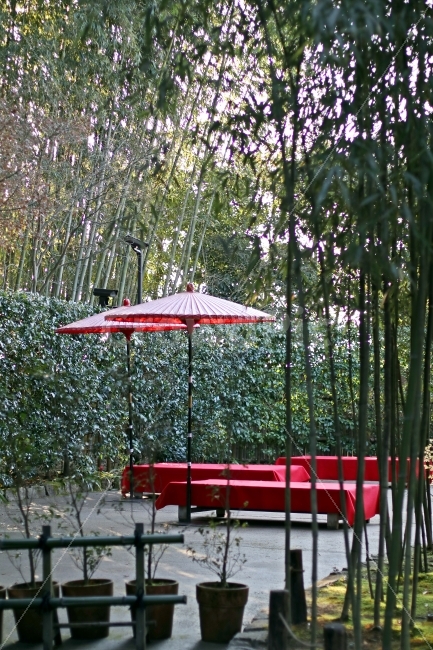휴식,대나무,정원,휴게소,일본,파라솔,빨간색,자연,풍경,nature,landscape,휴식,힐링,rest,relaxation,healing